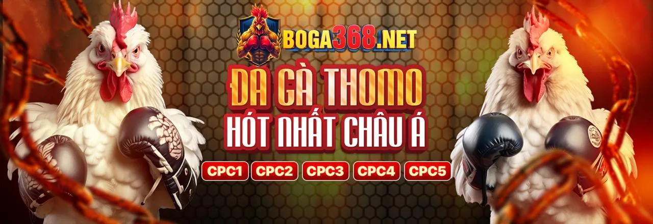 Đá gà trực tuyến F168 link vào 2026, sân đấu gà chuyên nghiệp